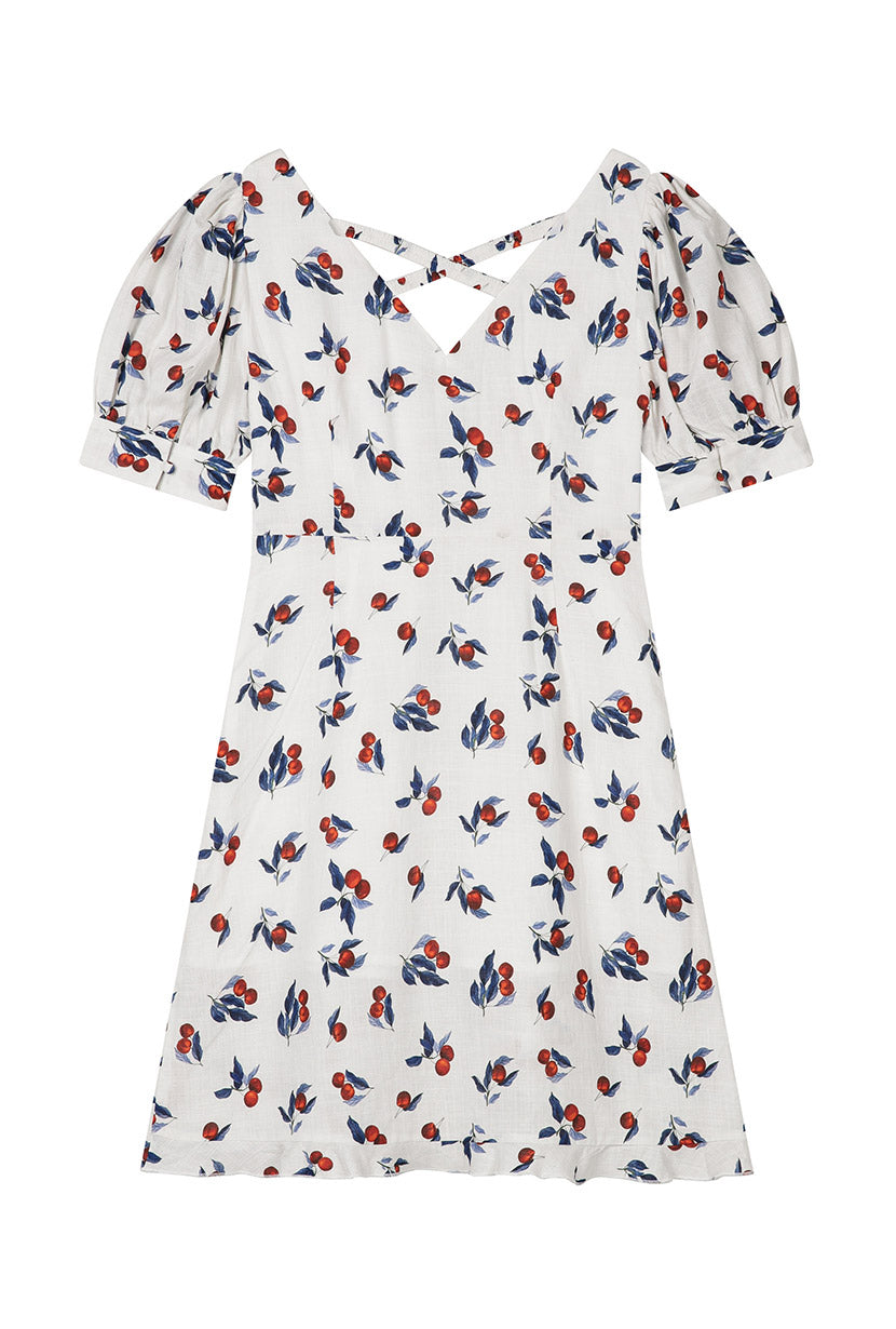Petite Studio's Virginia Dress in White Cherry