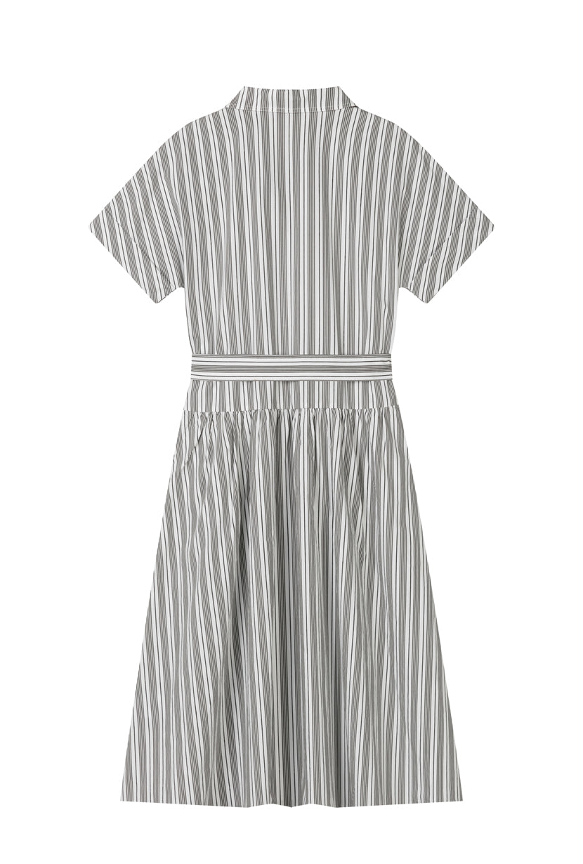 petite striped shirt dress Buy Joe Browns Blue Petite Cherry Striped 100% Cotton Shirt Dress from Next USA