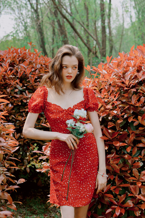 Petite Studio's Summer Maisy Dress in Red Print 